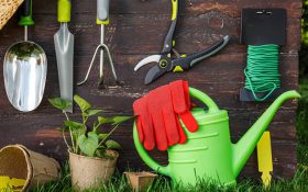 ۲۰ ابزار باغبانی که به آن ها نیاز خواهید داشت