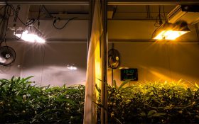 مقایسه لامپ متال هالید و بخار سدیم و بخار جیوه