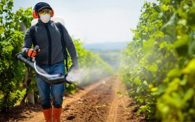 سمپاش چیست | معرفی انواع سمپاش و کاربرد آن ها