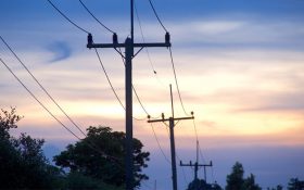 کابل خودنگهدار چیست؟ | جدول کابل خودنگهدار