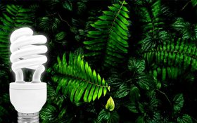 لامپ کم مصرف برای رشد گیاه