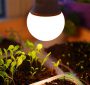 بهترین مارک لامپ رشد گیاه