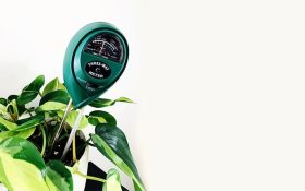 راهنمای خرید رطوبت سنج