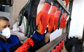 بررسی کامل مراحل تولید دستکش ایمنی و کار