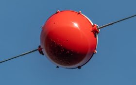 توپ های سیم برق برای چیست؟