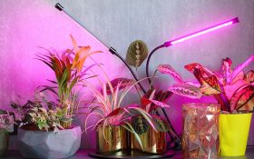 چگونه خودمان لامپ رشد گیاه بسازیم؟