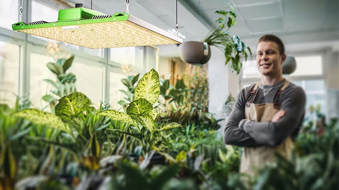 عوارض و مضرات لامپ رشد گیاه برای انسان