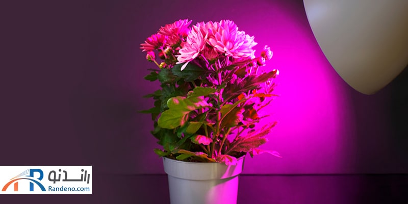 لامپ تخلیه گازی رشد گیاه