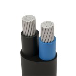 کابل-10*2-آلومینیومی-مفتول/نیمه-افشان-دامغان-NAYY